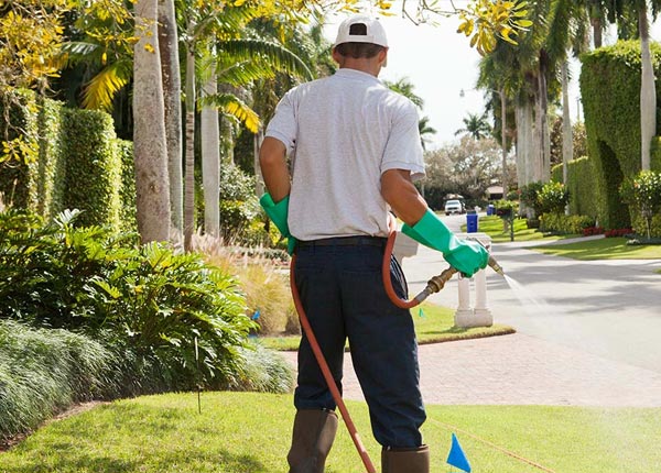 About Becket MA Pest Control Pros